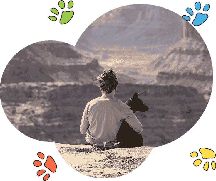 定制化强大的免费ddos在线攻击