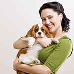 自动发货商城的免费ddos在线攻击